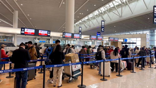 日韩之桥更畅通 青岛机场暑期日均航班突破13班，7月或达19班